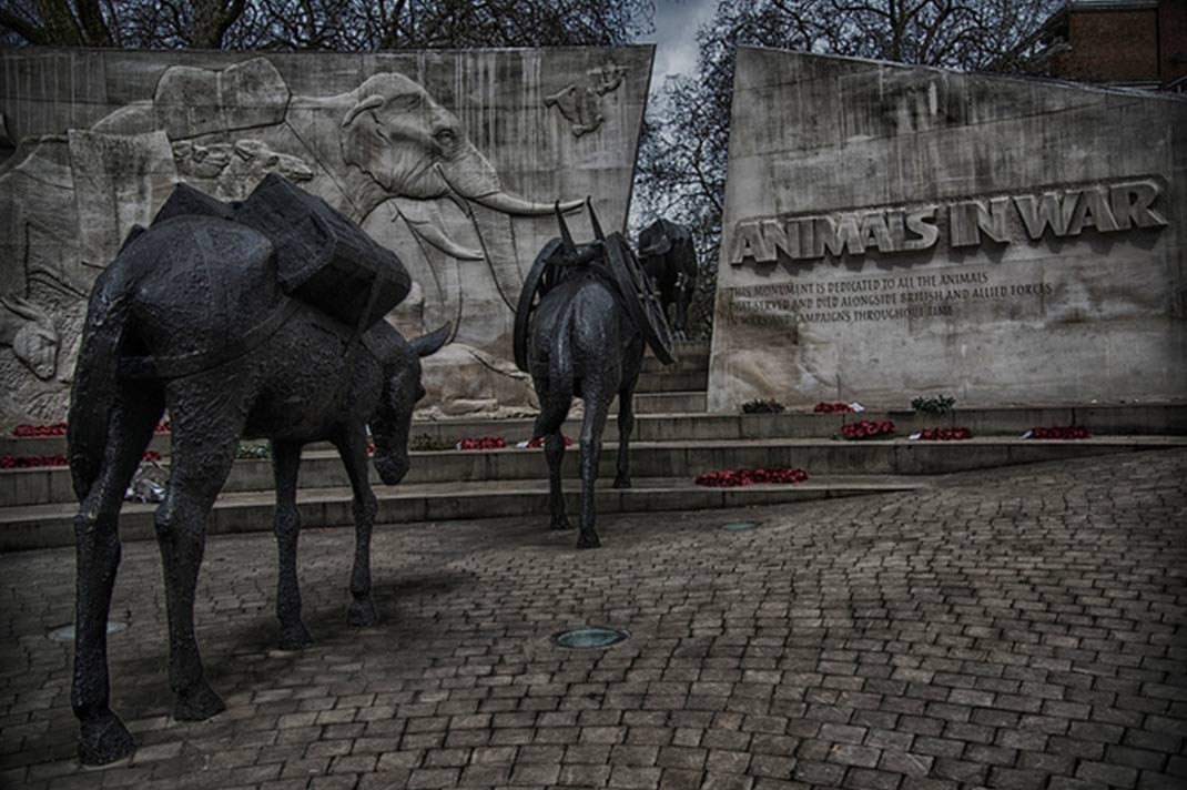 Animals In War memorial, Hyde Park, London, England. 
