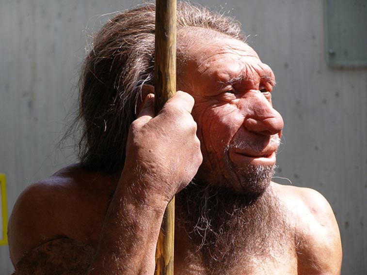 Reproduction of what Neanderthals may have looked like, Neanderthal Museum, Krapina, Croatia.  