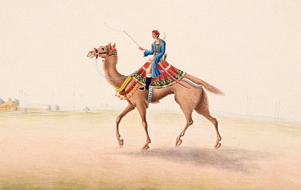 A camel rider in Bihar, British India in 1825. 
