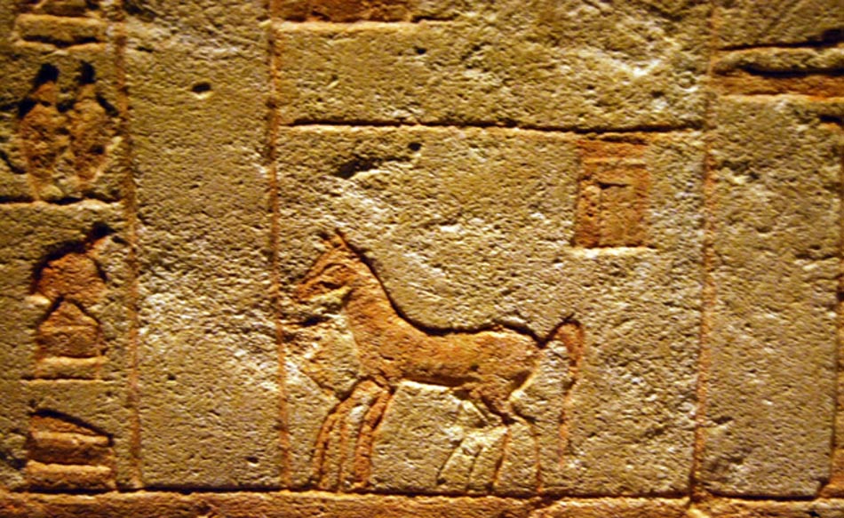 Detail from the Fragment of a relief showing a horse in a stable. 18th Dynasty (1569-1315 BC), New Kingdom. 