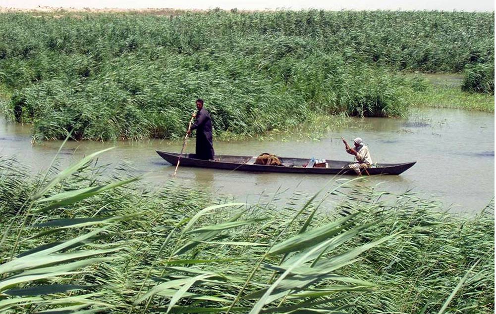 Marsh Arabs poling a mashoof (traditional boat) in the marshes of southern Iraq in the Tigris–Euphrates river system. 