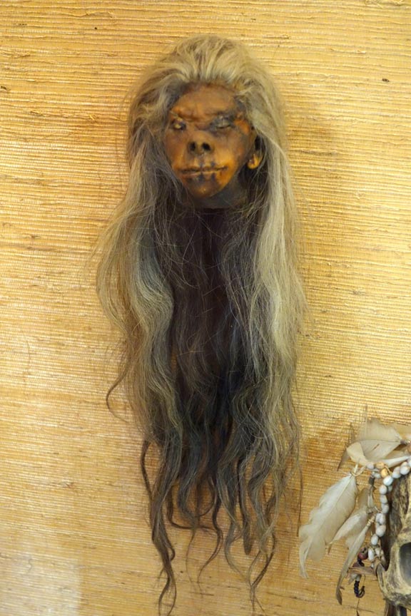 Another shrunken head from Ecuador. Exhibited in the Royal Museum for Central Africa, Tervuren, Belgium. 